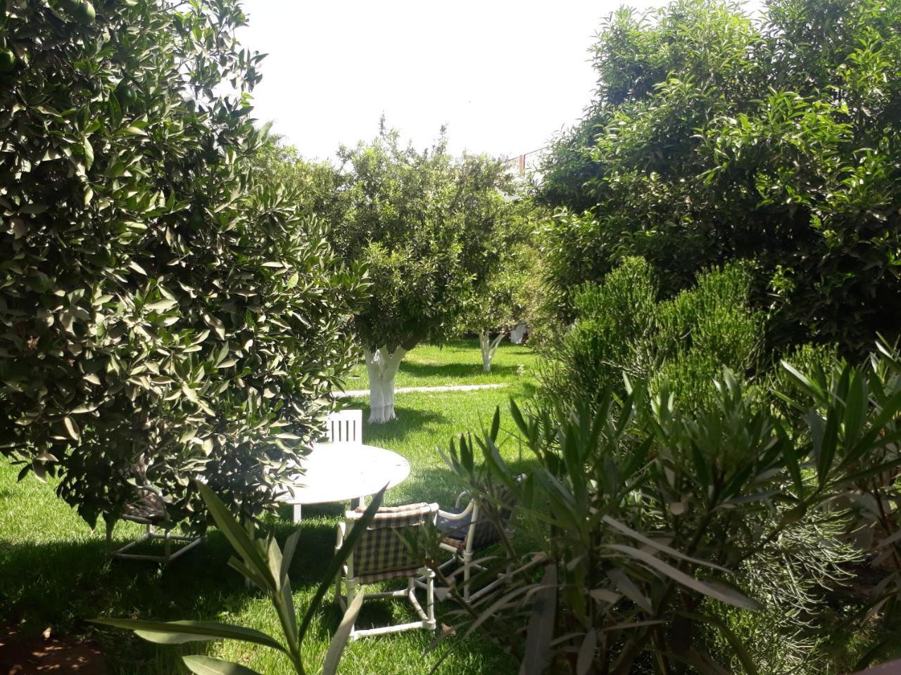 Almounia Hotel & Spa Taroudant Exteriör bild